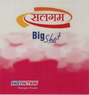 SALGAM (and logo) trademark logo