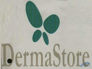 DERMA STORE (and logo) trademark logo