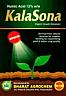 KalaSona (and logo) trademark logo