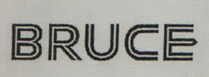 BRUCE (and logo) trademark logo