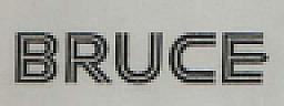 BRUCE (and logo) trademark logo