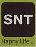 SNT (and logo) trademark logo