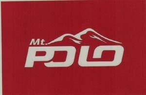 MT POLO (and logo) trademark logo