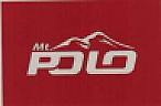 MT POLO (and logo) trademark logo