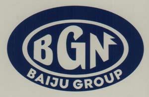 BGN BAIJU GROUP (and logo) trademark logo