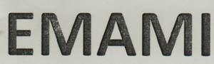 EMAMI (and logo) trademark logo