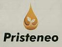 PRISTENEO (and logo) trademark logo