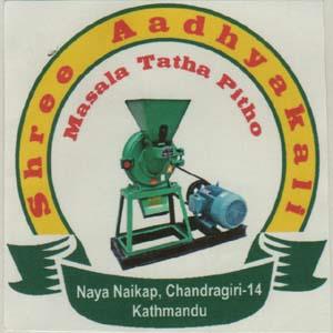 SHREE AADHYAKALI (and logo) trademark logo