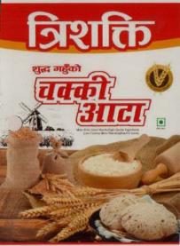 TRISHAKTI (and logo) trademark logo