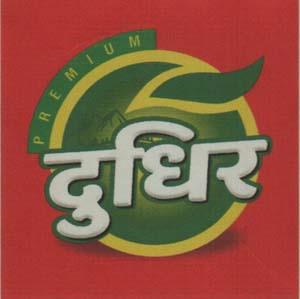 DUDHIR (and logo) trademark logo