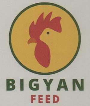 BIGYAN FEED (and logo) trademark logo
