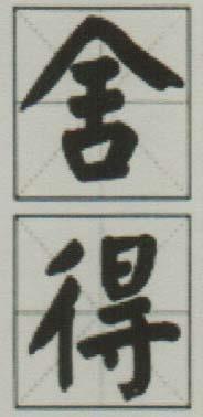 CHINESE CHARACTERS (and logo) trademark logo