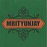 MRITYUNJAY (and logo) trademark logo