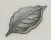 DEVICE MARK trademark logo