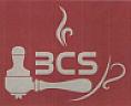 BCS (and logo) trademark logo