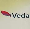 Veda (and logo) trademark logo