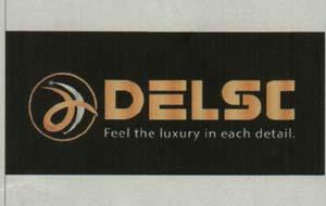DELSC (and logo) trademark logo