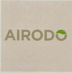 AIRODO (and logo) trademark logo