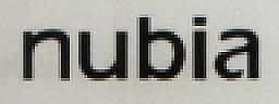 nubia (and logo) trademark logo