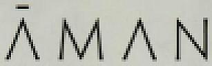 AMAN (and logo) trademark logo