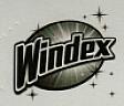 WINDEX (and logo) trademark logo