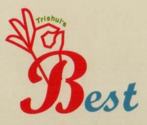 TRISHUL'S BEST (and logo) trademark logo