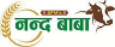 SFM'S NANDA BABA (and logo) trademark logo