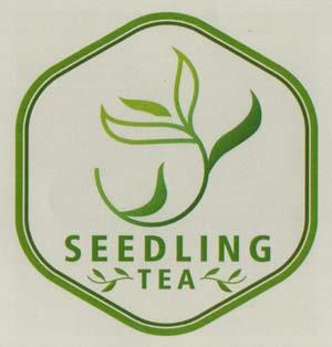 SEEDLING TEA (and logo) trademark logo