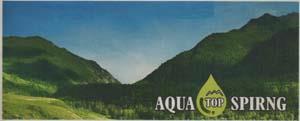 AQUA TOP SPRING (and logo) trademark logo