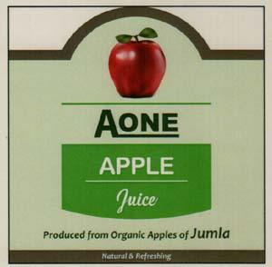 AONE (and logo) trademark logo