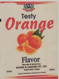 TESTY ORANGE (and logo) trademark logo