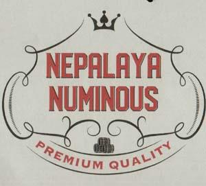 NEPALAYA NUMINOUS (and logo) trademark logo