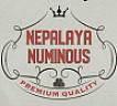NEPALAYA NUMINOUS (and logo) trademark logo