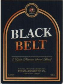 BLACK BELT (and logo) trademark logo