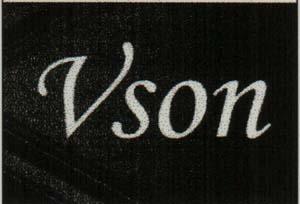 Vson (and logo) trademark logo