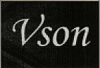 Vson (and logo) trademark logo