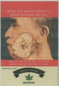 PAN IVIS (and logo) trademark logo