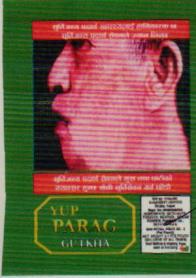 YUP PARAG (and logo) trademark logo