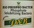 DIBTL BIO PHOSPHO BACTER (and logo) trademark logo