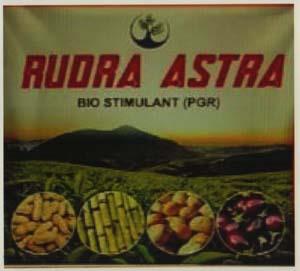 RUDRA ASTRA (and logo) trademark logo