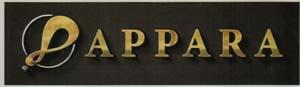 APPARA (and logo) trademark logo