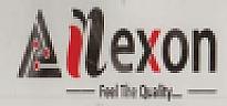 NEXON (and logo) trademark logo