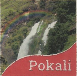 Pokali (and logo) trademark logo
