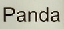 PANDA (and logo) trademark logo