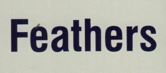 FEATHERS (and logo) trademark logo