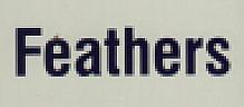 FEATHERS (and logo) trademark logo