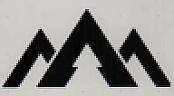 DEVICE MARK trademark logo