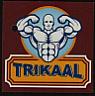 TRIKAAL (and logo) trademark logo
