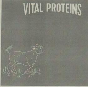 VITAL PROTEINS (and logo) trademark logo