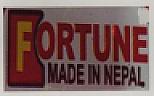 FORTUNE (and logo) trademark logo